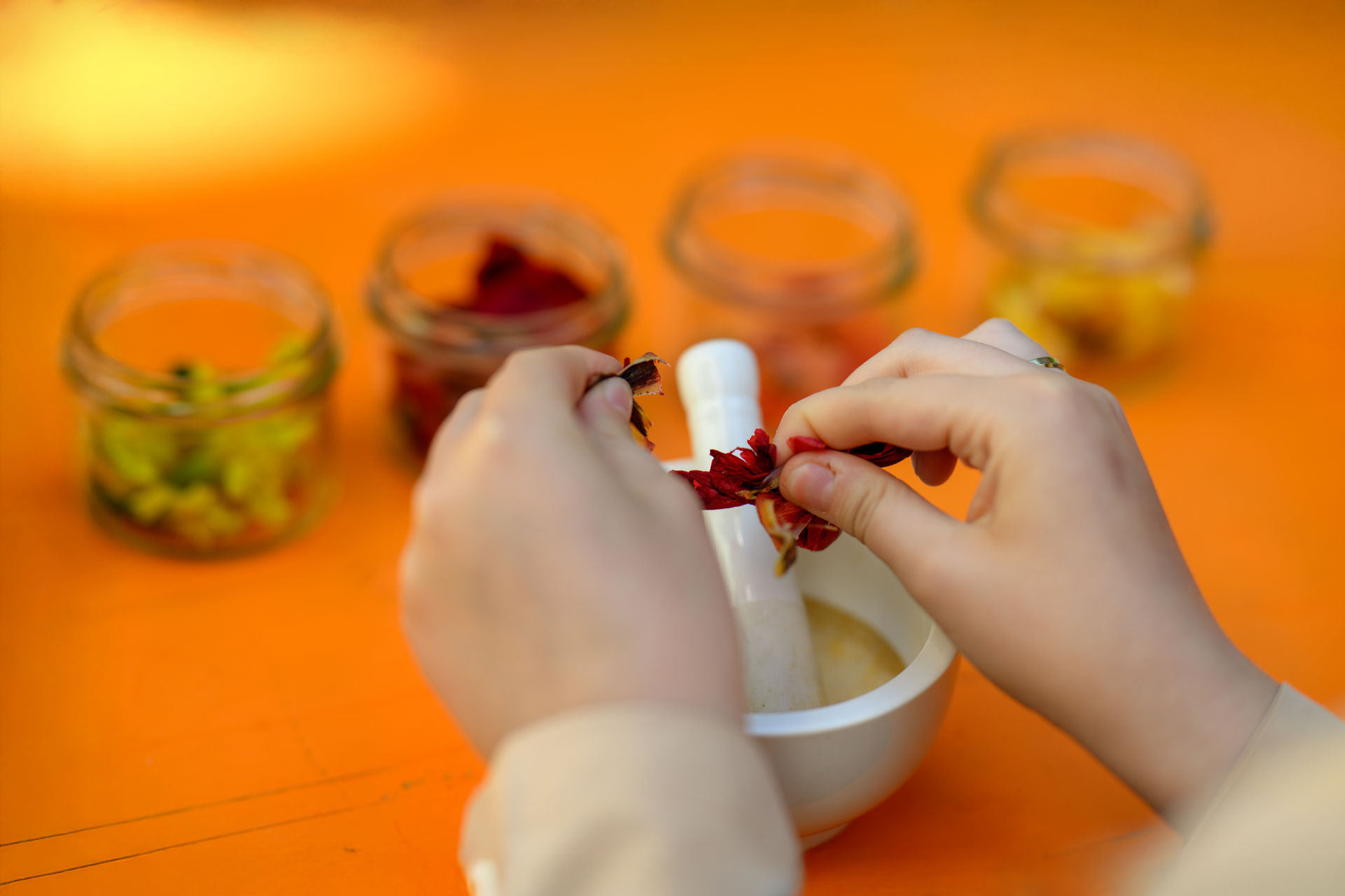 Tisch mit Pflanzenfarben und Hände von Kind, das mit Pflanzen färbt bei Färbergarten-Aktion_Foto: Oldenburger Kunstschule/ I. Mittwollen 
