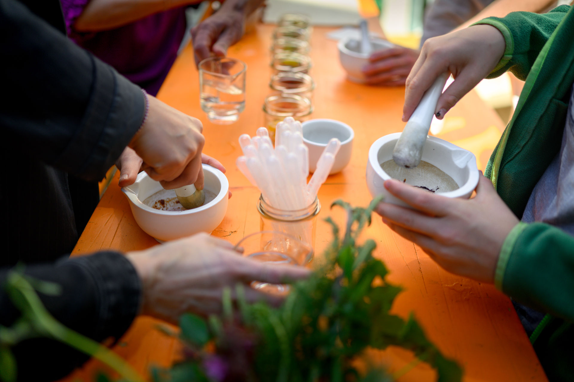 Tisch mit Händen von mehreren Personen, die mit Pflanzen färben bei Aktion Eröffnung Färbergarten_Foto: Oldenburger Kunstschule/ I. Mittwollen