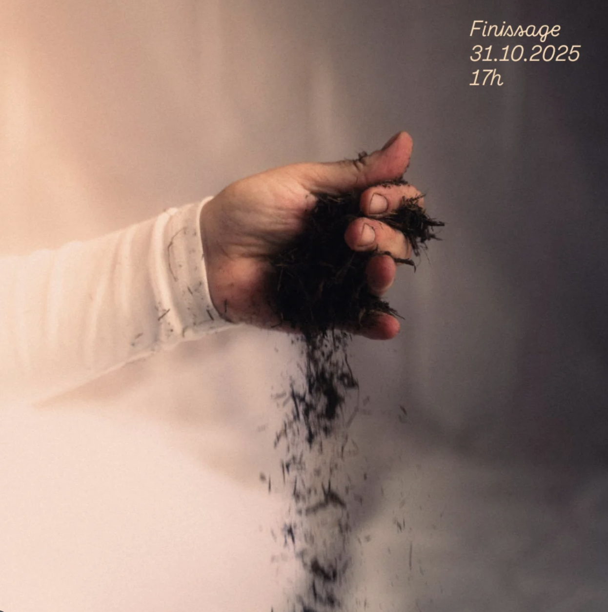 Ausstellung von Kathrin Ryan Peace Container I: Heimatlos - Finissage 31.10. um 17 Uhr