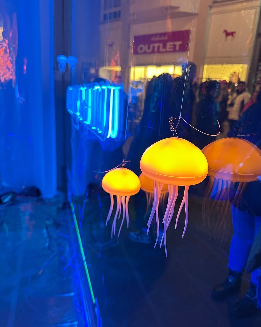 Foto Schaufenster Film-Ausstellung Helmholtz Institut "Unterwasser-Kino"