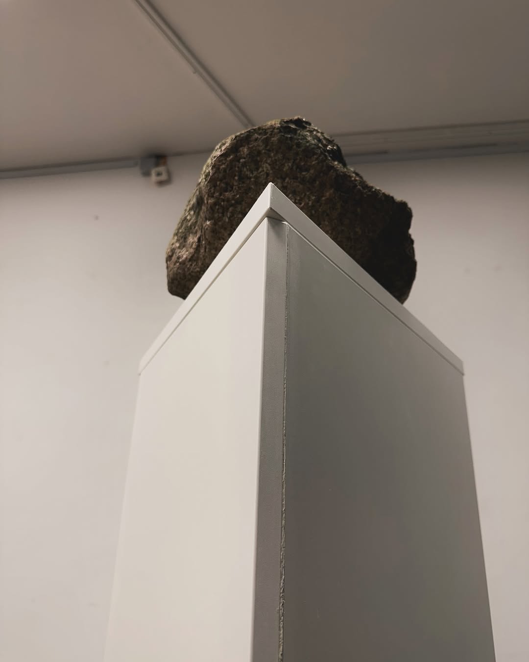 Ausstellungsansicht "thingsinthemselves"